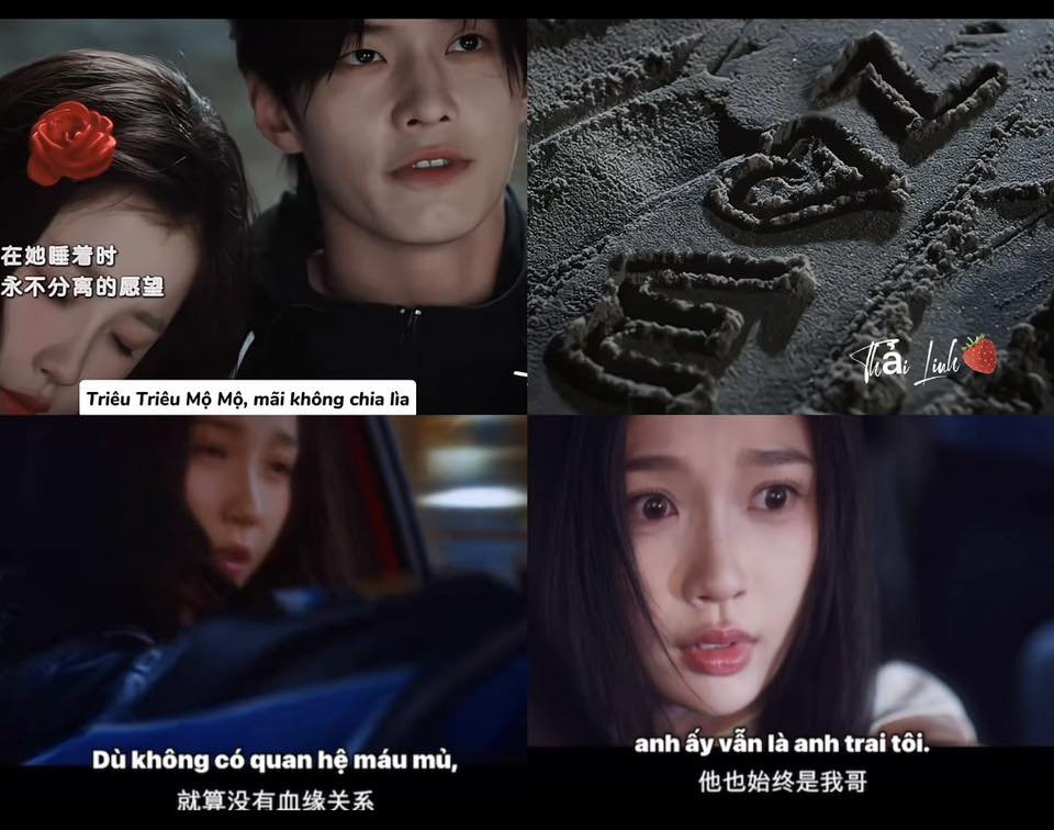 - Ảnh 5. - Ảnh 5.