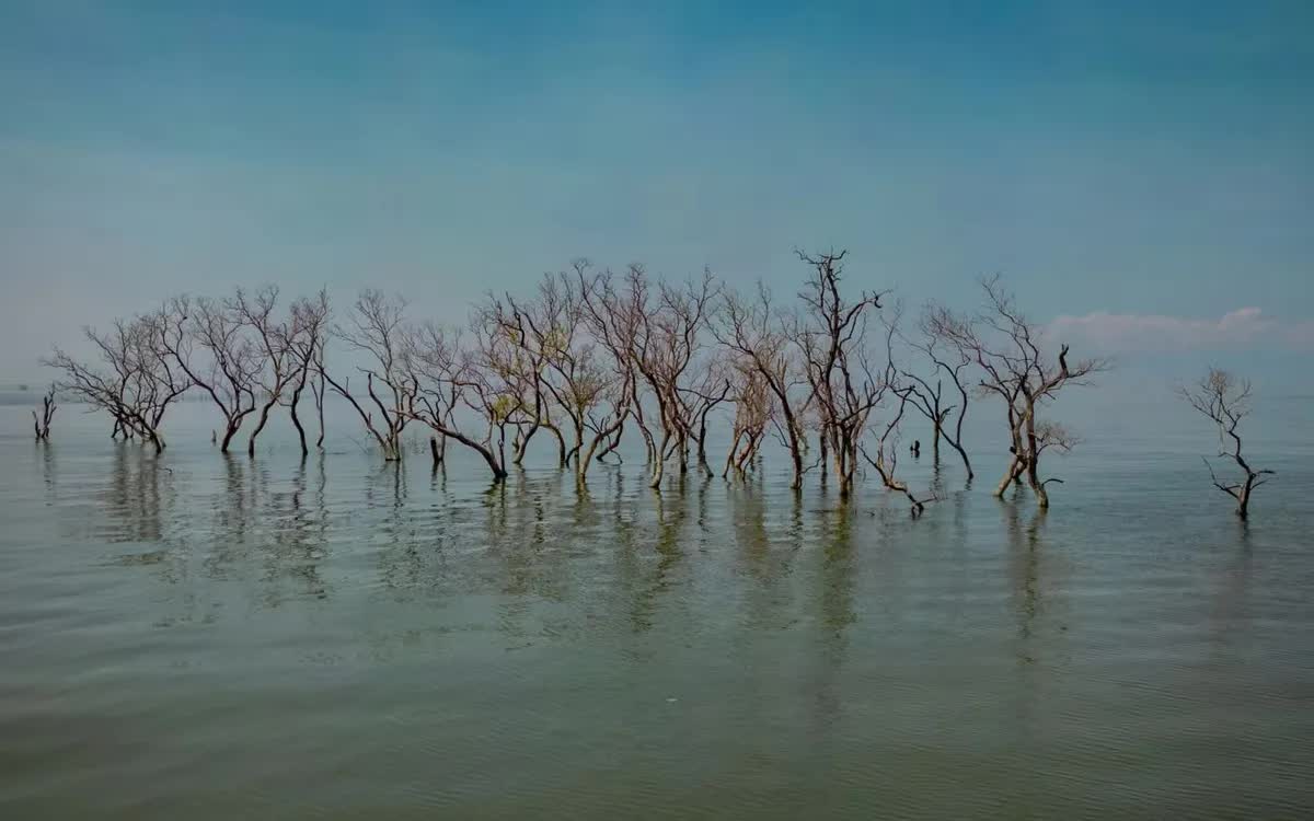 Dữ liệu mới đặt c&acirc;u hỏi về mức độ ấm l&ecirc;n của Tr&aacute;i Đất - Ảnh 1.