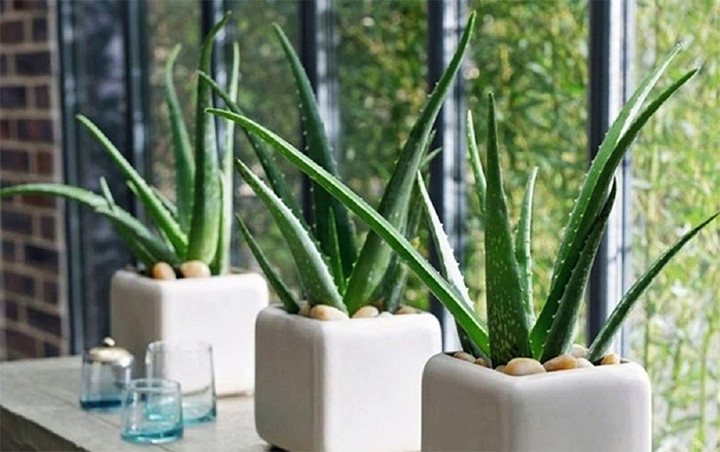 9 lỗi phong thủy nhà ở phổ biến và cách khắc phục hiệu quả  - Ảnh 5.