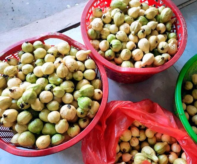 Quả quen mặt ở chợ Việt lọt top "chống oxy hóa tốt nhất thế giới", không mua phí của trời - Ảnh 2. Quả quen mặt ở chợ Việt lọt top "chống oxy hóa tốt nhất thế giới", không mua phí của trời - Ảnh 2.