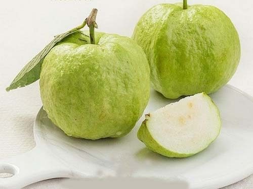 Quả quen mặt ở chợ Việt lọt top "chống oxy hóa tốt nhất thế giới", không mua phí của trời - Ảnh 1. Quả quen mặt ở chợ Việt lọt top "chống oxy hóa tốt nhất thế giới", không mua phí của trời - Ảnh 1.