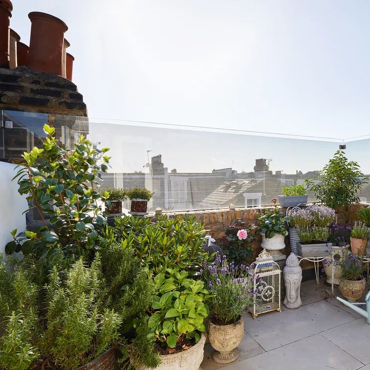 Trồng c&acirc;y ban c&ocirc;ng kỵ nhất 5 sai lầm n&agrave;y: Tiếc l&agrave; nhiều gia chủ chẳng mấy quan t&acirc;m- Ảnh 3.