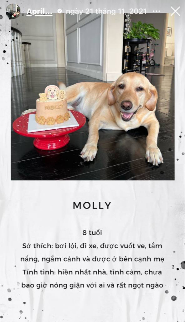 - Ảnh 5. - Ảnh 5.