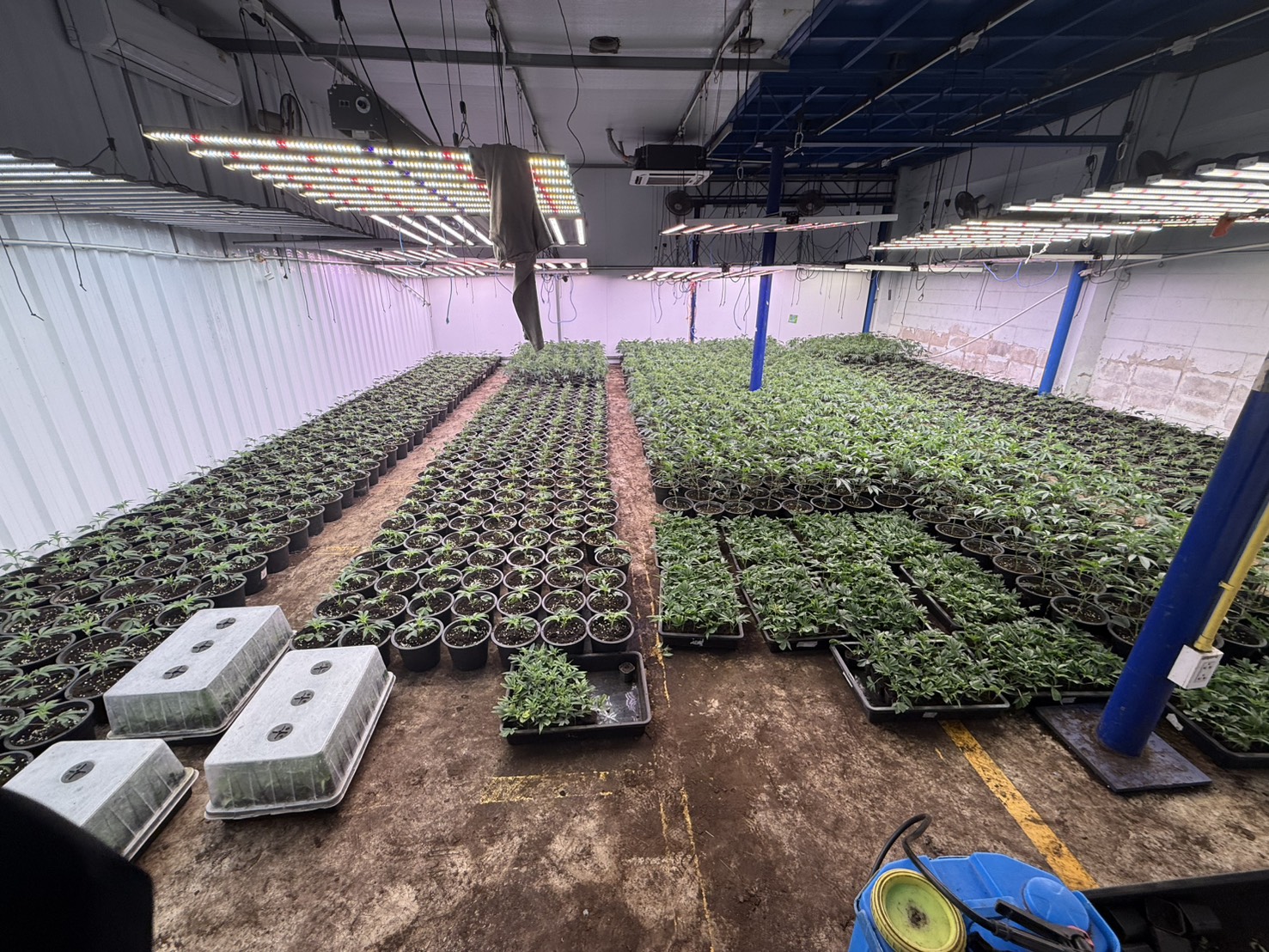 - Ảnh 2. - Ảnh 2.