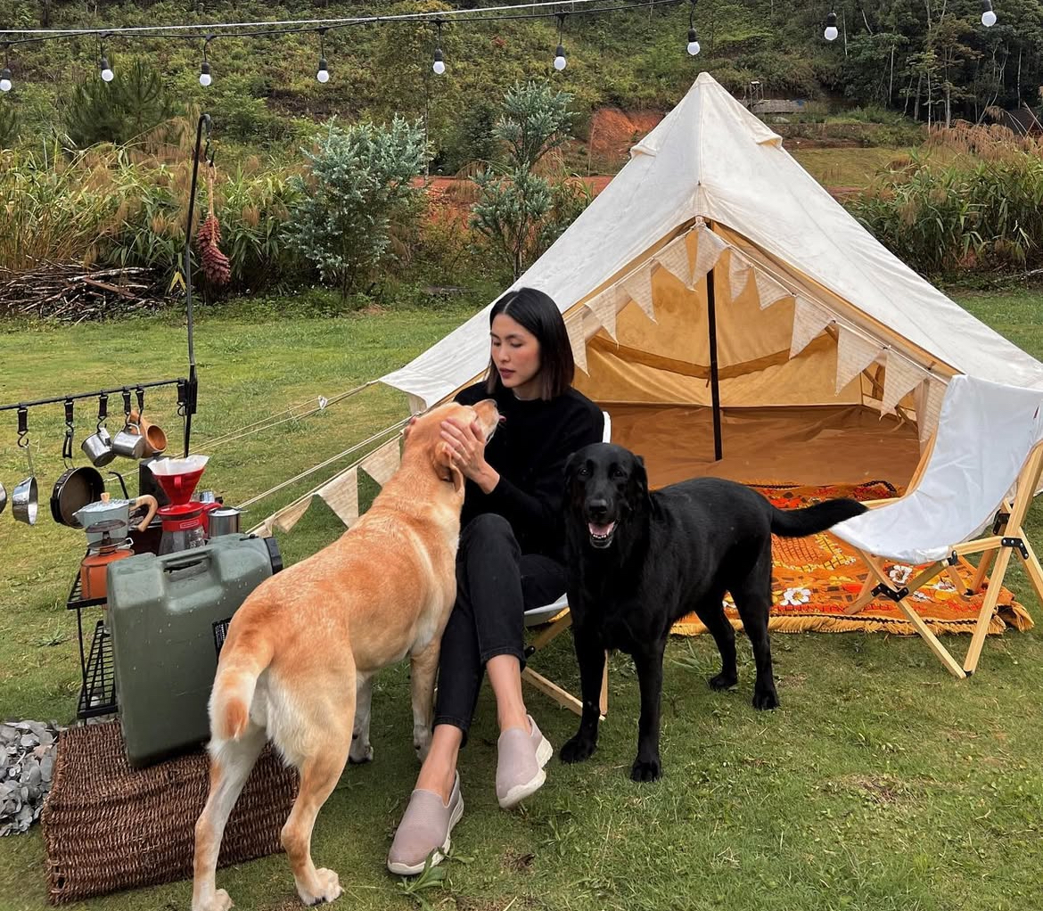 - Ảnh 8. - Ảnh 8.