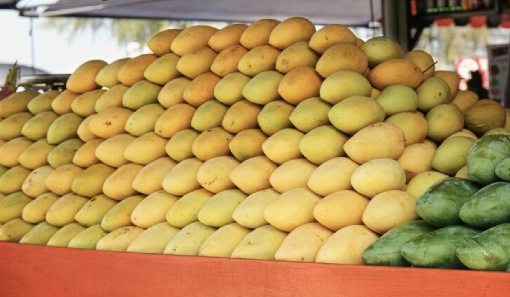 Khách Hàn chi 4 triệu/ngày chỉ để ăn “ngọc vàng” Việt Nam bán đầy ở chợ- Ảnh 1. Khách Hàn chi 4 triệu/ngày chỉ để ăn “ngọc vàng” Việt Nam bán đầy ở chợ- Ảnh 1.