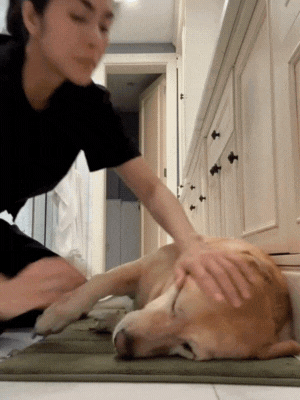 - Ảnh 1. - Ảnh 1.