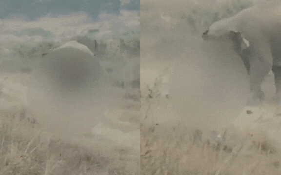 - Ảnh 1. - Ảnh 1.