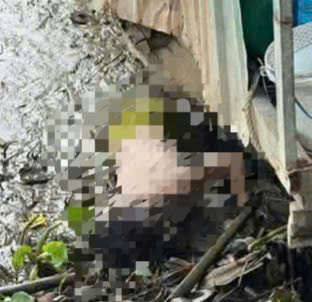 Điều tra nguyên nhân 2 bé gái tử vong bên bờ sông ở Tây Ninh - Ảnh 1. Điều tra nguyên nhân 2 bé gái tử vong bên bờ sông ở Tây Ninh - Ảnh 1.