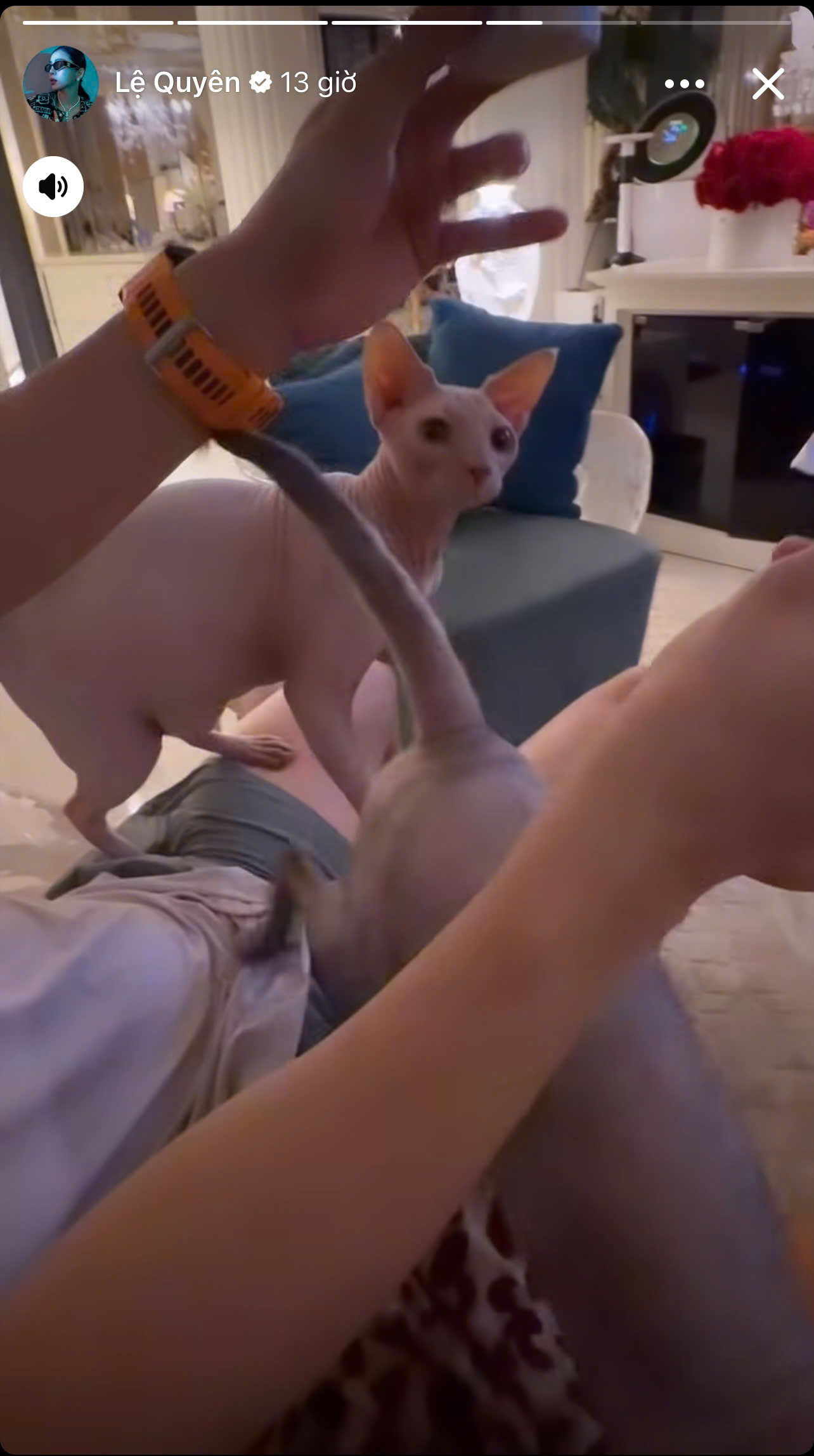 Lo&aacute; mắt khung cảnh b&ecirc;n trong biệt thự đắt đỏ, 3,6 tỷ chỉ x&acirc;y được c&aacute;i cổng của Lệ Quy&ecirc;n- Ảnh 1.