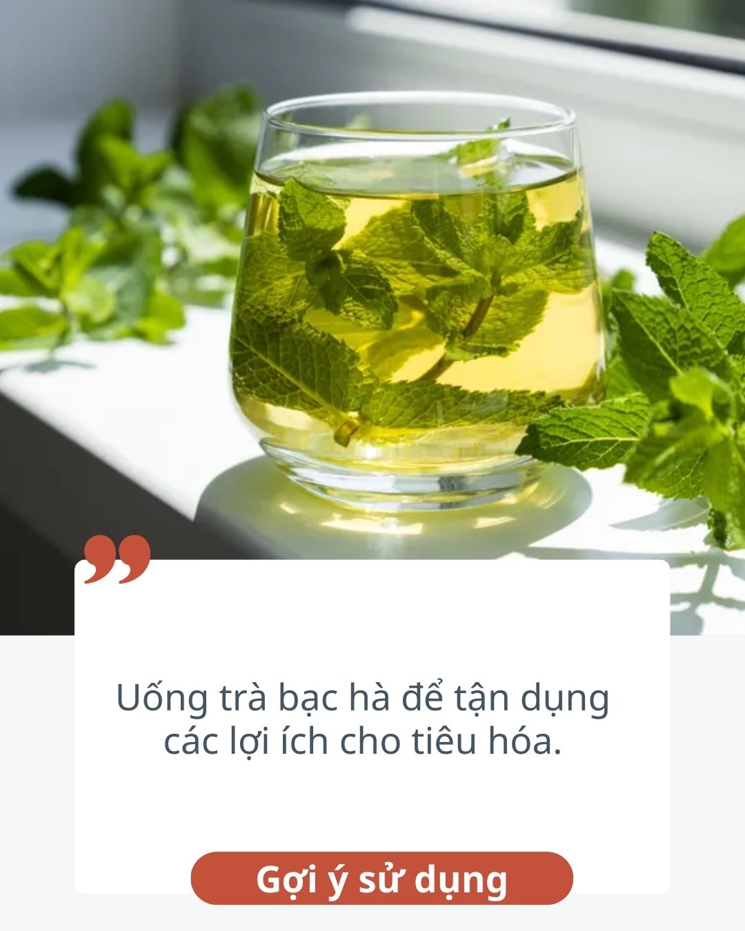 10 thực phẩm hỗ trợ tiêu hóa còn tốt hơn cả gừng, ai "bụng dạ kém" thì bổ sung ngay để cải thiện - Ảnh 4. 10 thực phẩm hỗ trợ tiêu hóa còn tốt hơn cả gừng, ai "bụng dạ kém" thì bổ sung ngay để cải thiện - Ảnh 4.