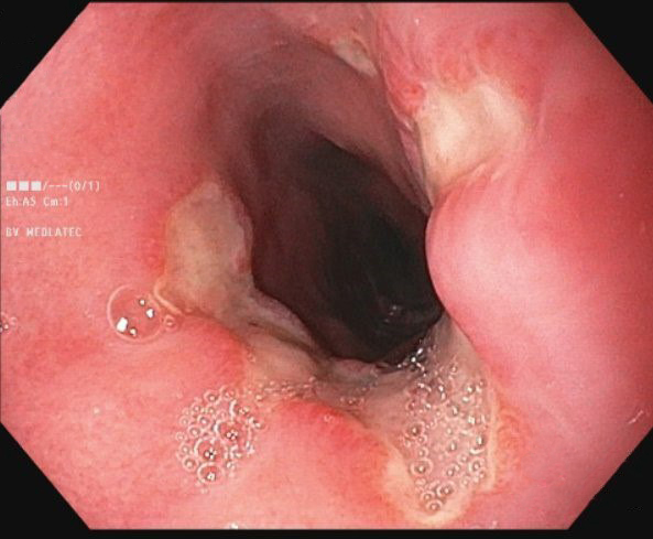 - Ảnh 1. - Ảnh 1.