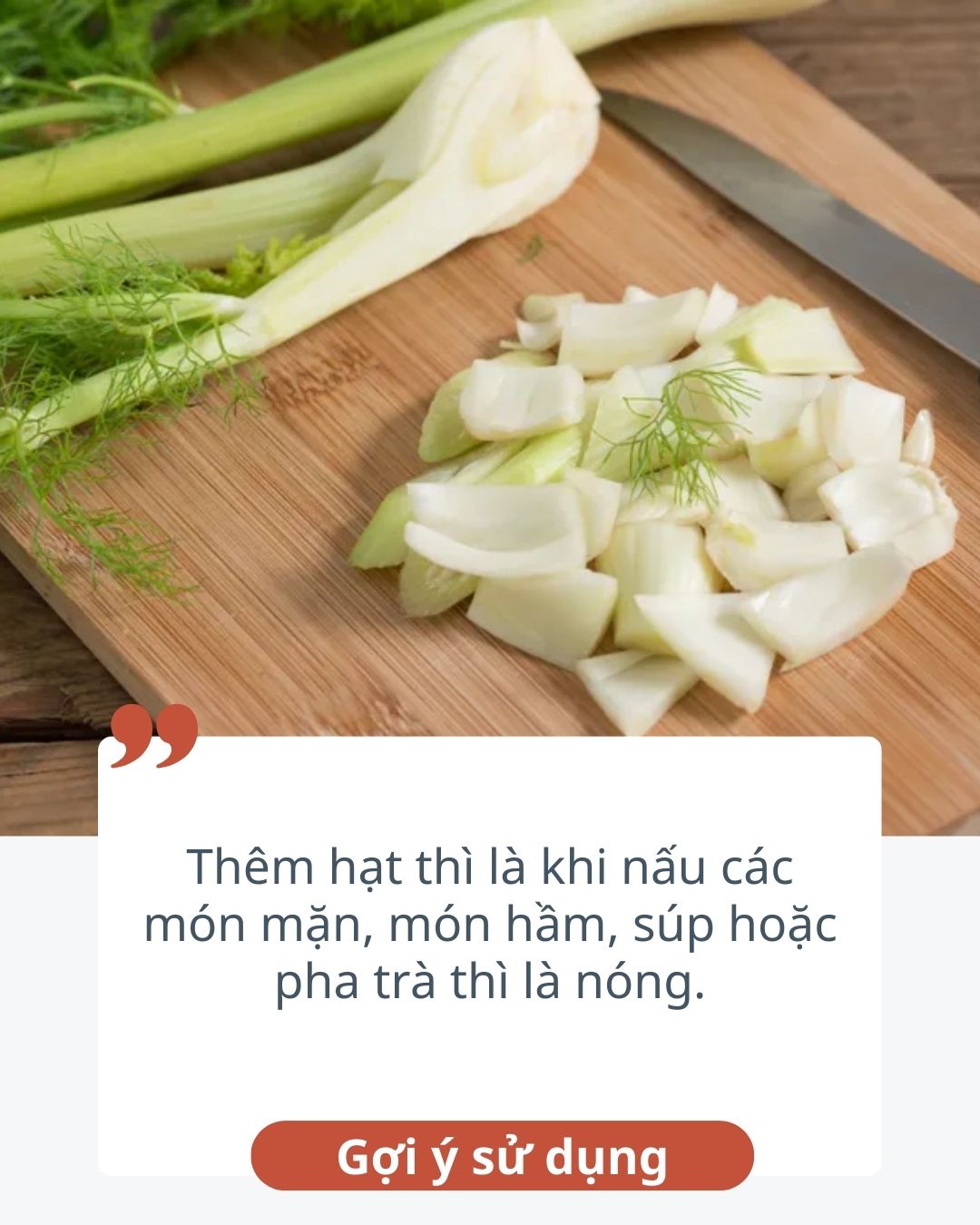10 thực phẩm hỗ trợ tiêu hóa còn tốt hơn cả gừng, ai "bụng dạ kém" thì bổ sung ngay để cải thiện - Ảnh 8. 10 thực phẩm hỗ trợ tiêu hóa còn tốt hơn cả gừng, ai "bụng dạ kém" thì bổ sung ngay để cải thiện - Ảnh 8.