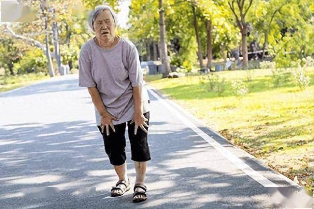 969070874Fcd85Bda88B14C686E68297 1766134684793200722143 1766144753423 1766144753972173829716