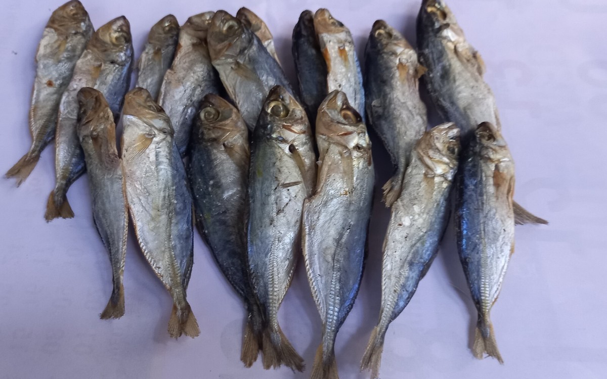 Việt Nam c&oacute; loại c&aacute; b&igrave;nh d&acirc;n, gi&agrave;u omega-3 ngang c&aacute; hồi, rất tốt cho nam giới nhưng hay bị &ldquo;gh&eacute;t bỏ&rdquo; - Ảnh 4.