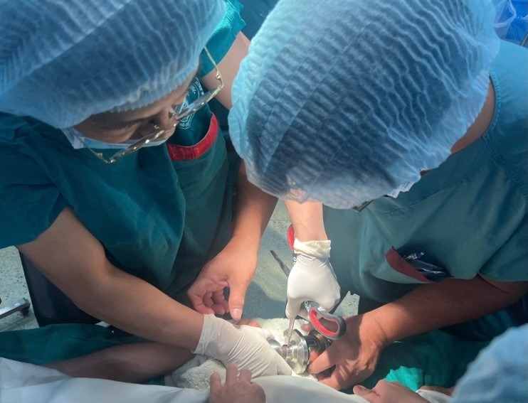 Ctch 1766122587086 1766122587310391692933