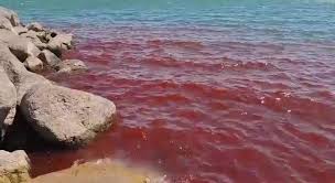 Mưa m&aacute;u tại đảo Hormuz: Cảnh tượng kỳ lạ g&acirc;y hoang mang  - Ảnh 3.