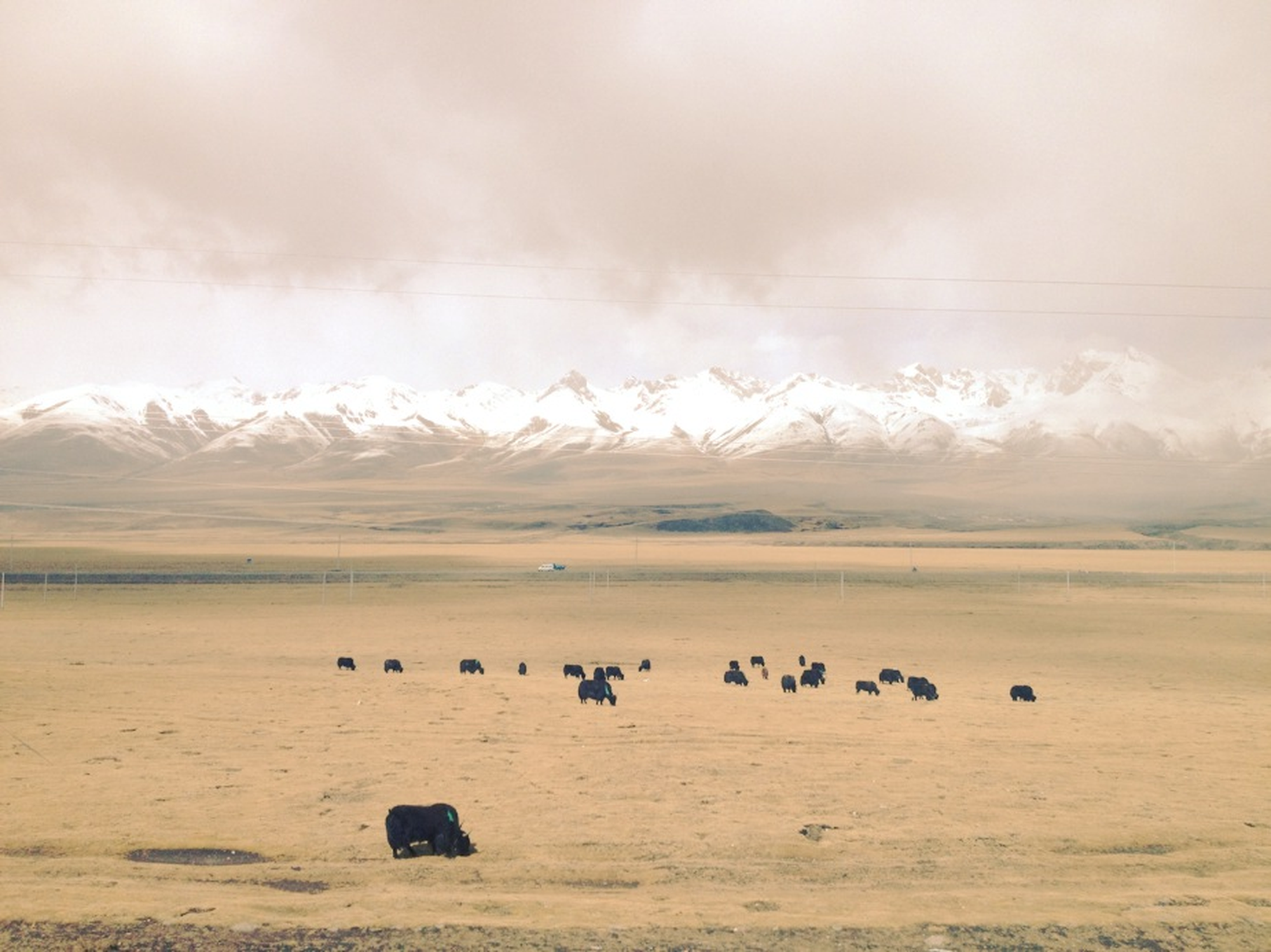 Tàu tốc hành lên trời - Thiên đường không ở đâu xa- Ảnh 9. Tàu tốc hành lên trời - Thiên đường không ở đâu xa- Ảnh 9.