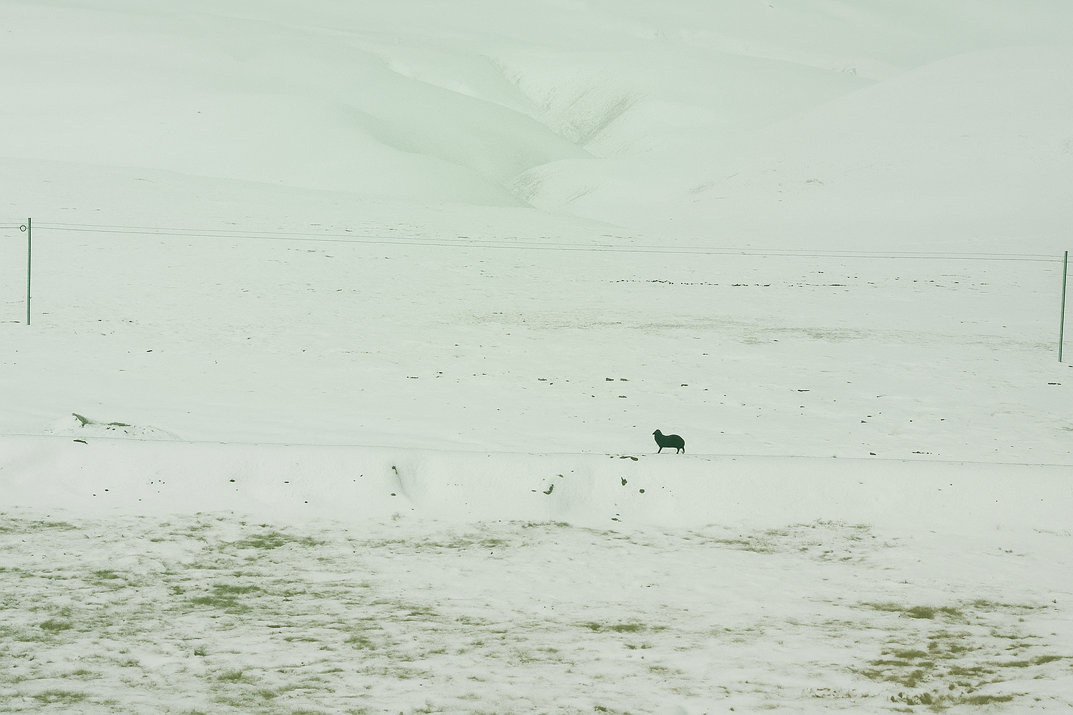 Tàu tốc hành lên trời - Thiên đường không ở đâu xa- Ảnh 8. Tàu tốc hành lên trời - Thiên đường không ở đâu xa- Ảnh 8.