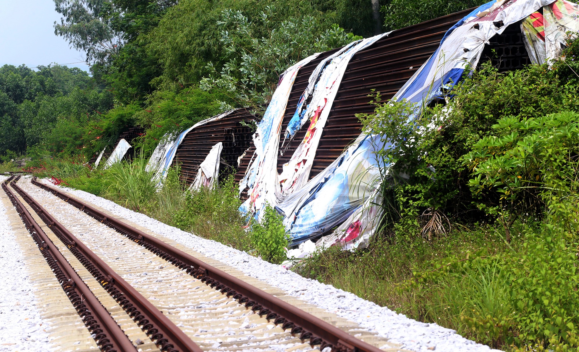 Phối cảnh toàn cảnh