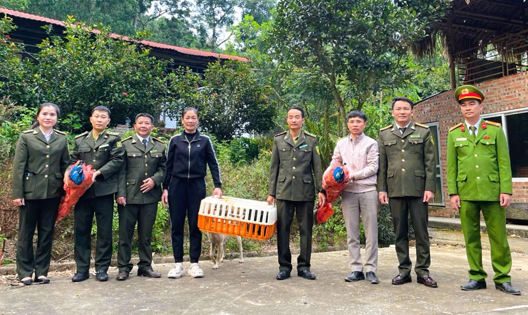 Động vật quý hiếm bất ngờ xuất hiện, người dân vội báo công an - Ảnh 1.