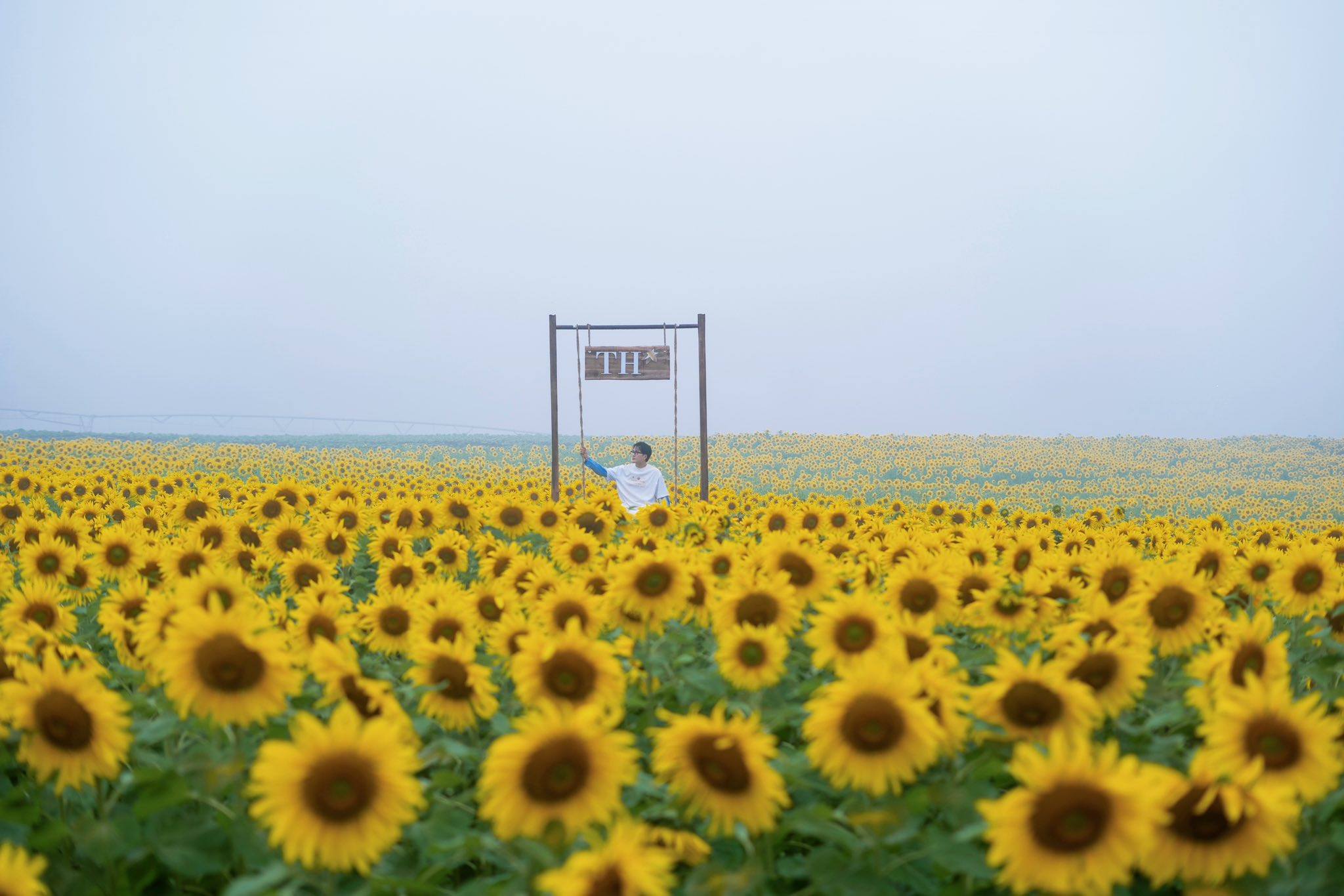 Nơi được quan tâm nhất lúc này ở Nghệ An: Cảnh như nước ngoài, mở cửa miễn phí nhưng có lưu ý đặc biệt - Ảnh 7.