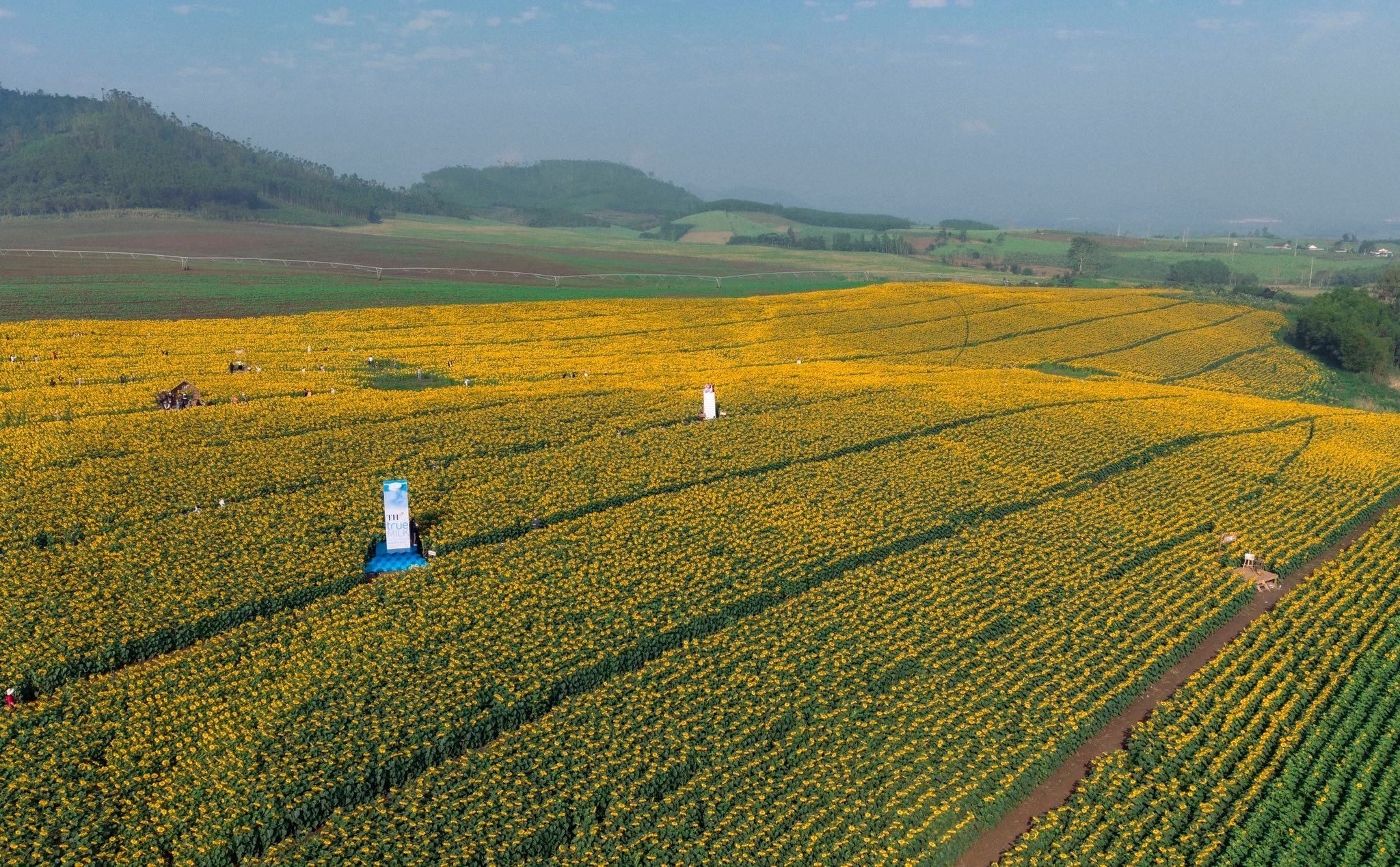 Nơi được quan tâm nhất lúc này ở Nghệ An: Cảnh như nước ngoài, mở cửa miễn phí nhưng có lưu ý đặc biệt - Ảnh 6.