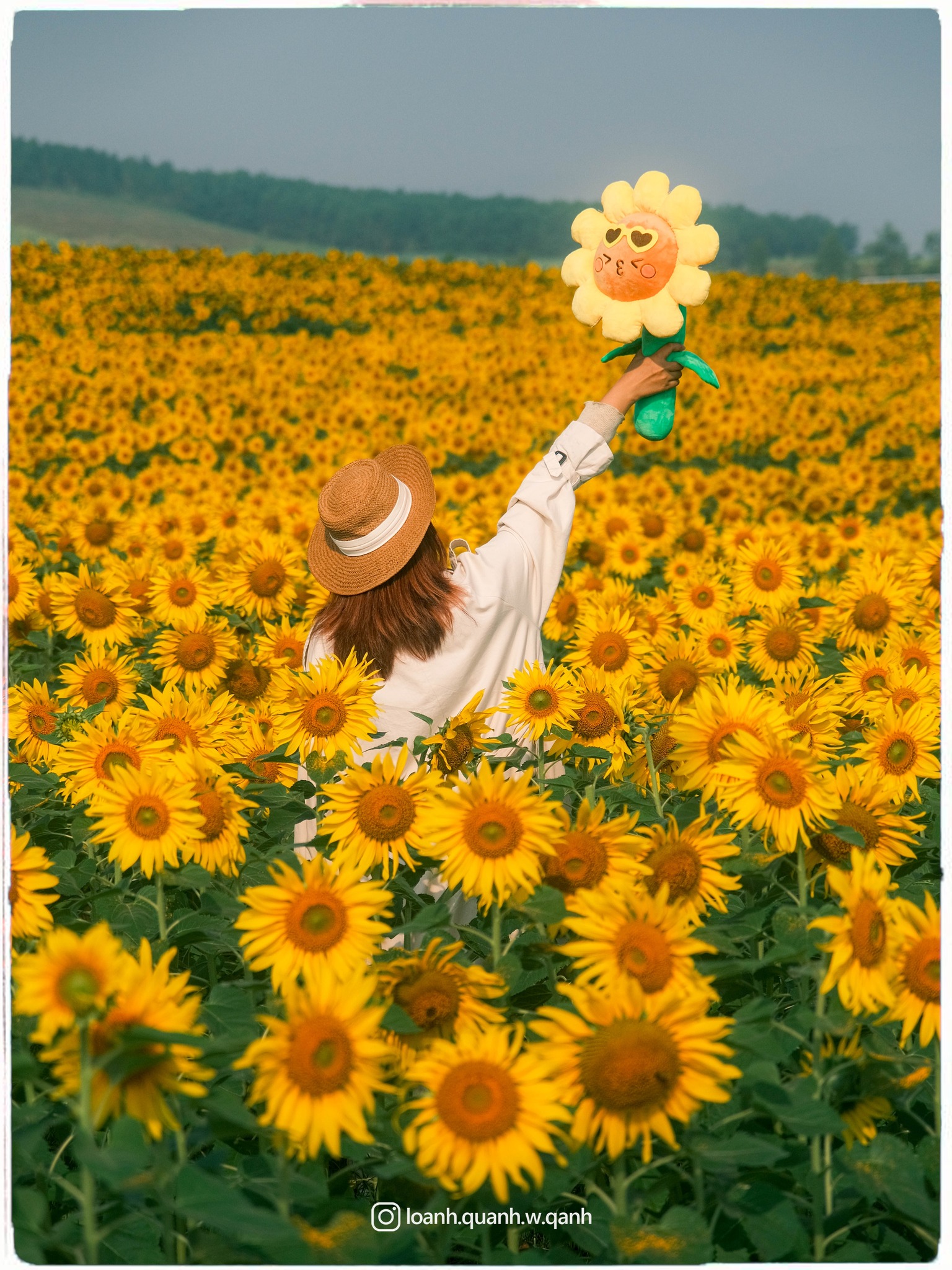 Nơi được quan tâm nhất lúc này ở Nghệ An: Cảnh như nước ngoài, mở cửa miễn phí nhưng có lưu ý đặc biệt - Ảnh 18.