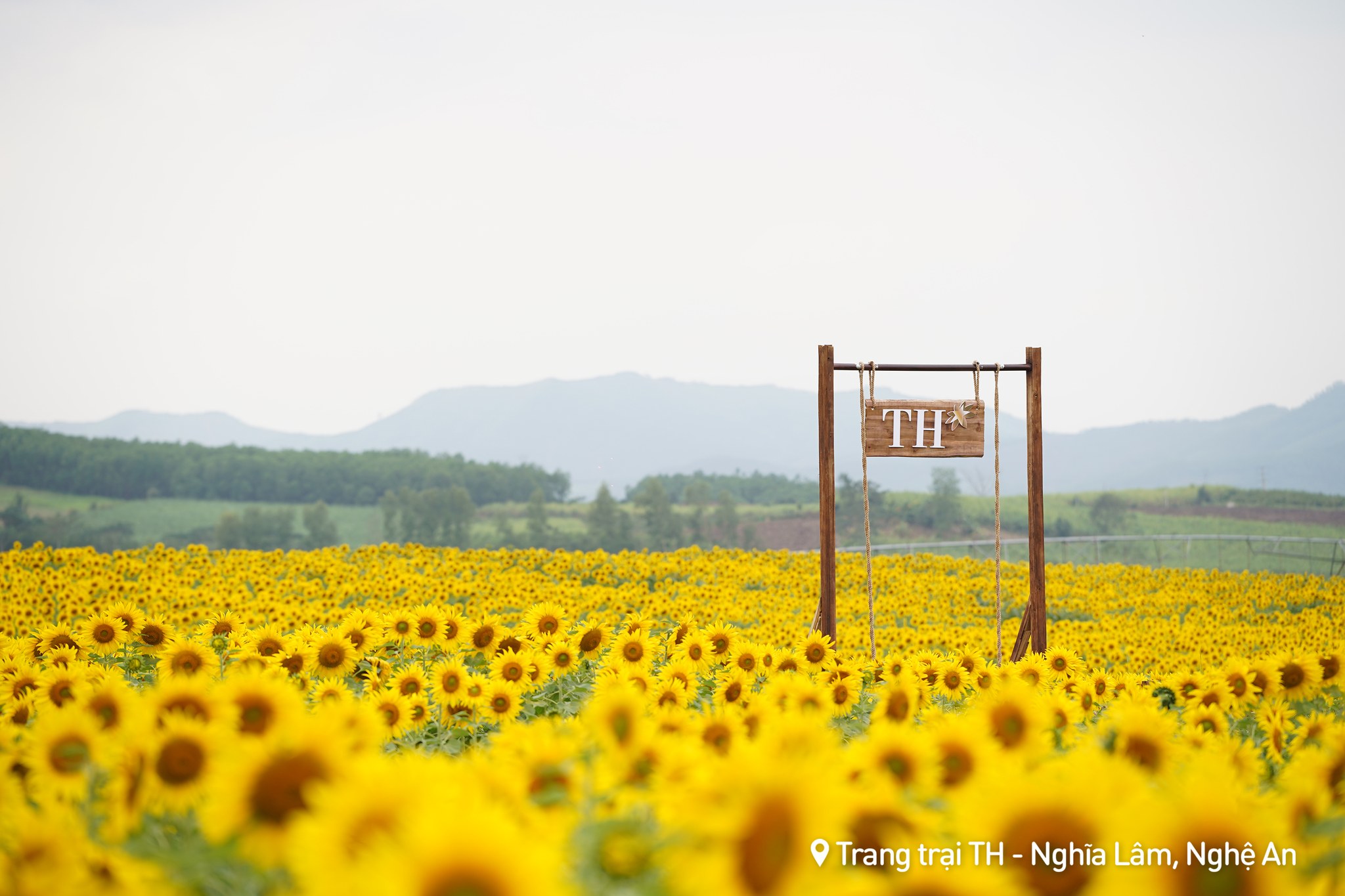 Nơi được quan tâm nhất lúc này ở Nghệ An: Cảnh như nước ngoài, mở cửa miễn phí nhưng có lưu ý đặc biệt - Ảnh 4.