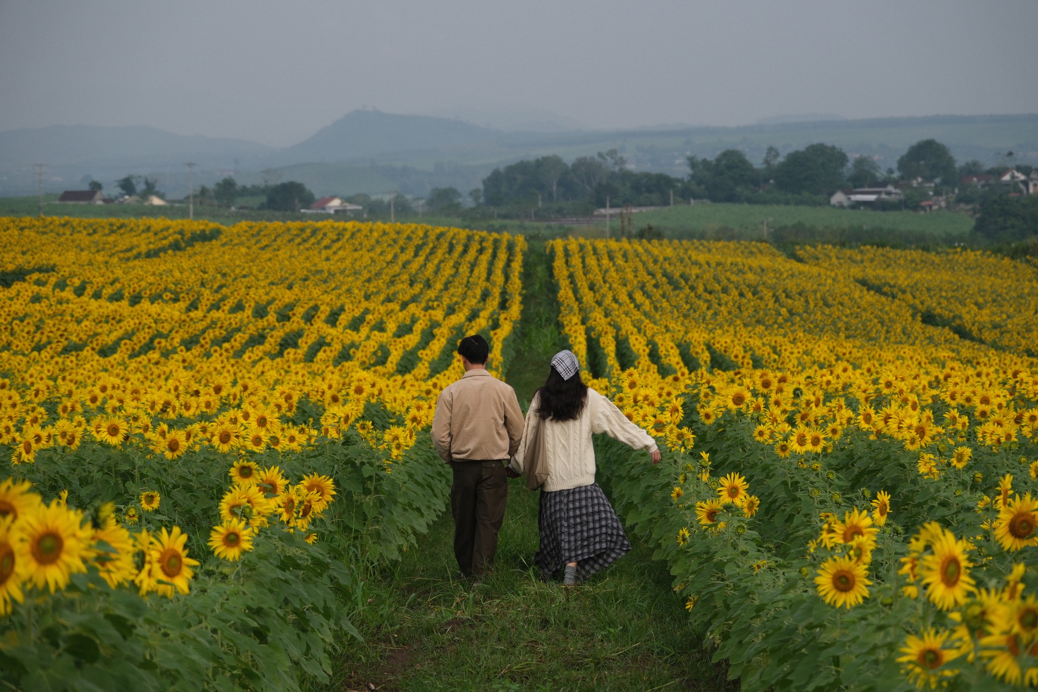 Nơi được quan tâm nhất lúc này ở Nghệ An: Cảnh như nước ngoài, mở cửa miễn phí nhưng có lưu ý đặc biệt - Ảnh 12.