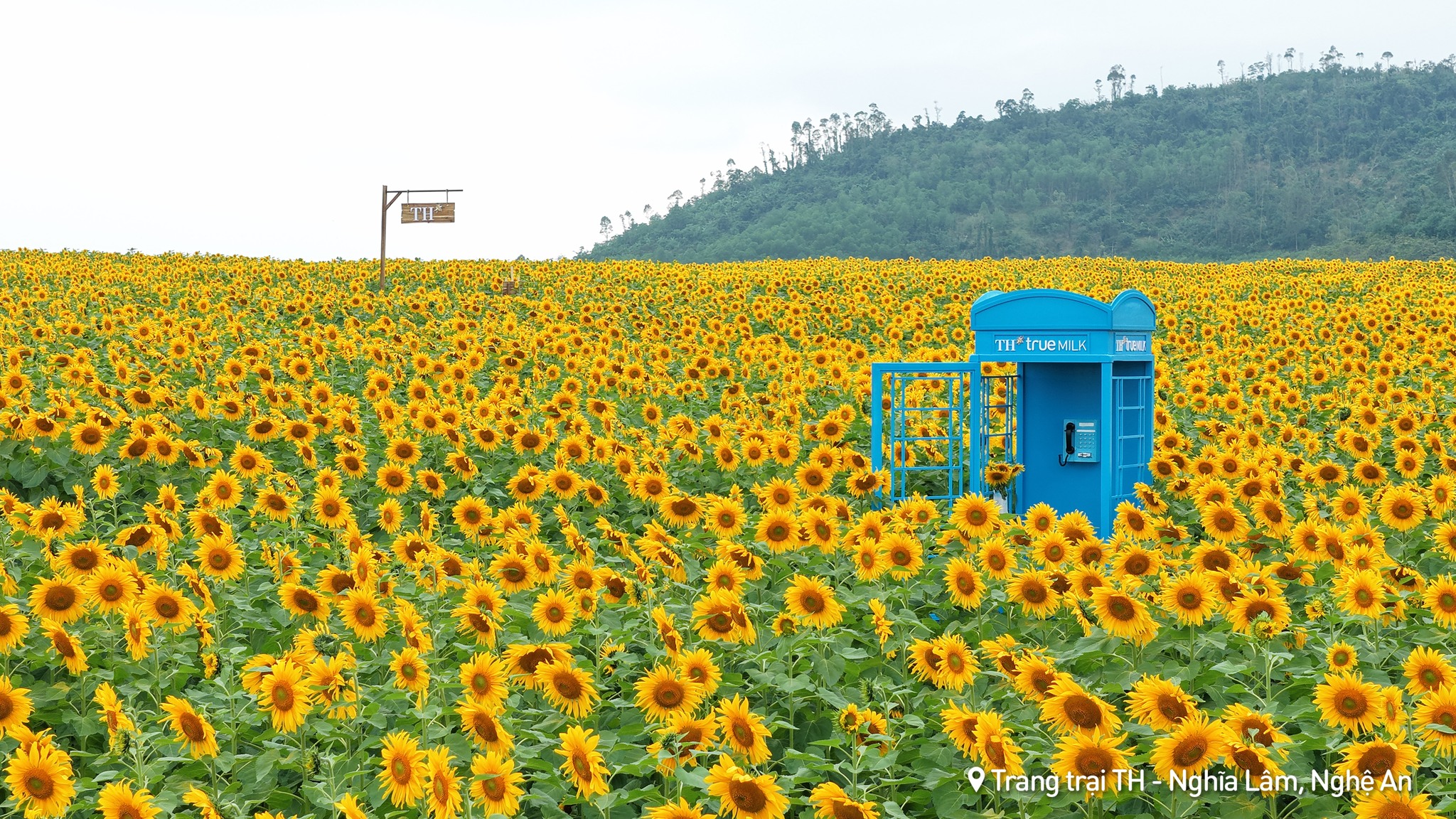 Nơi được quan tâm nhất lúc này ở Nghệ An: Cảnh như nước ngoài, mở cửa miễn phí nhưng có lưu ý đặc biệt - Ảnh 3.