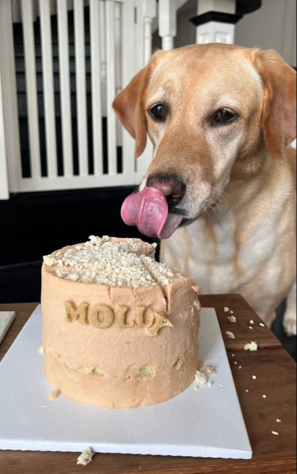 Tình hình hiện tại của Tăng Thanh Hà - Ảnh 4.