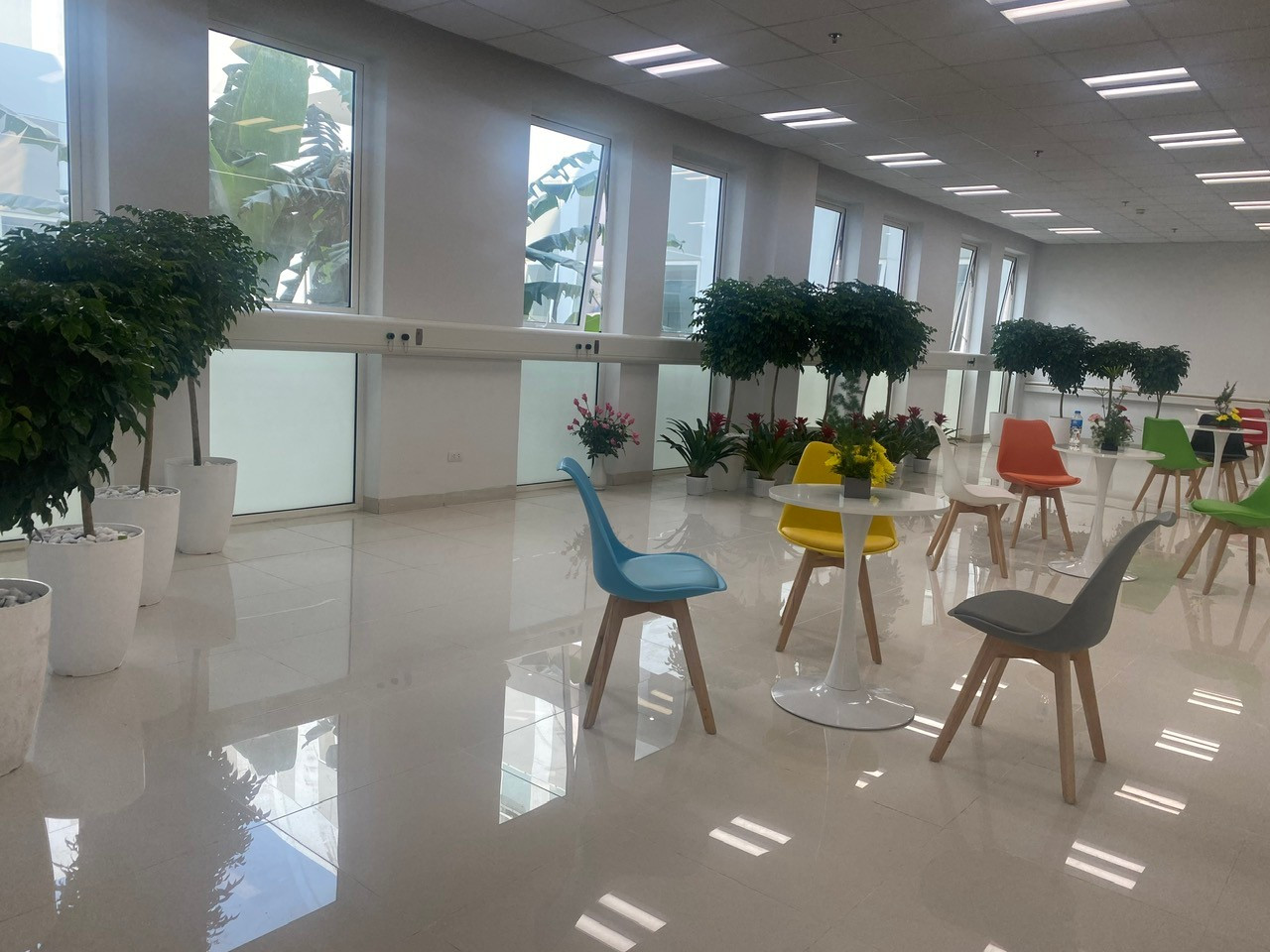 Image011 1766232281509 17662322821551315025500