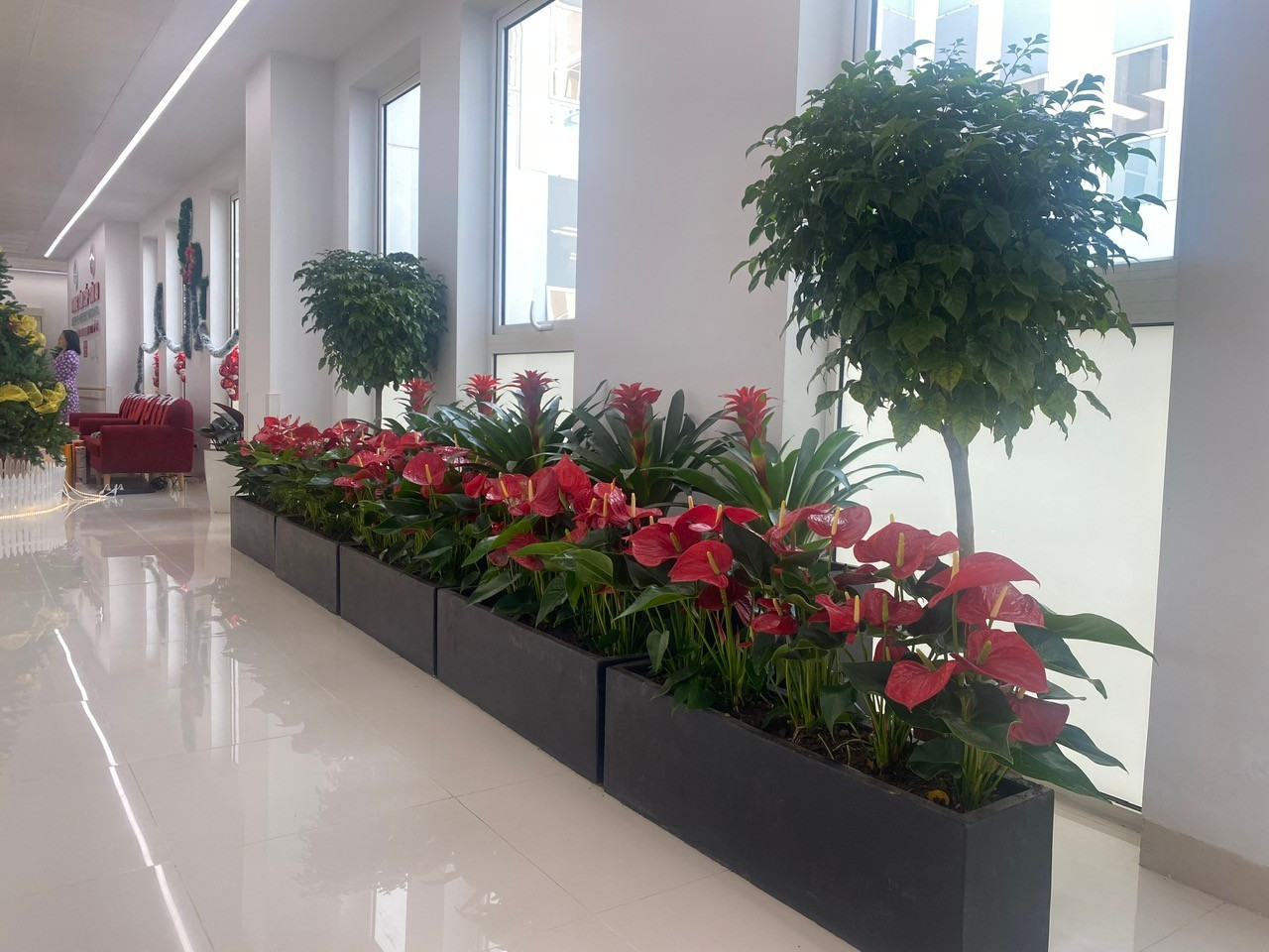 Image021 1766232281510 17662322821671778664286