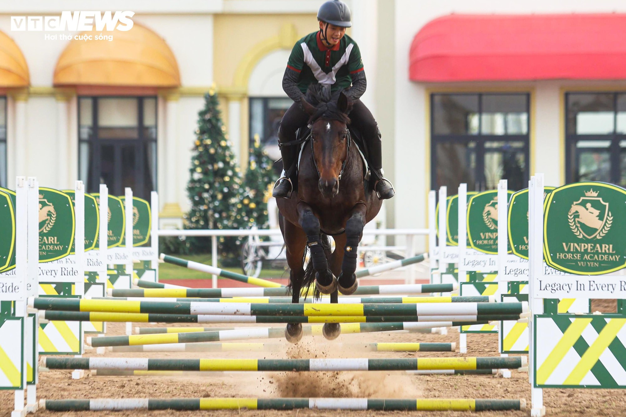 Khám phá giống ngựa triệu đô Akhal Teke tại Học viện cưỡi ngựa Hoàng Gia Việt Nam - Ảnh 11.