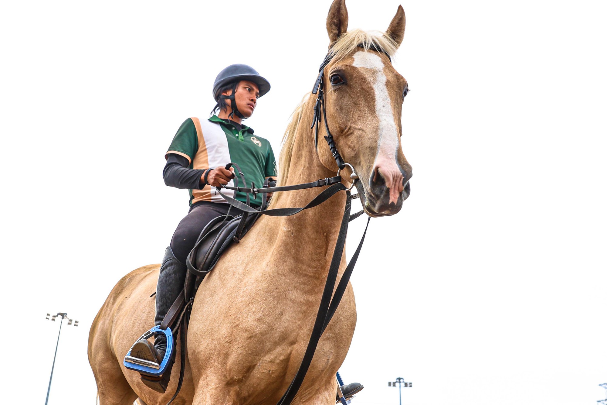 Khám phá giống ngựa triệu đô Akhal Teke tại Học viện cưỡi ngựa Hoàng Gia Việt Nam - Ảnh 5.