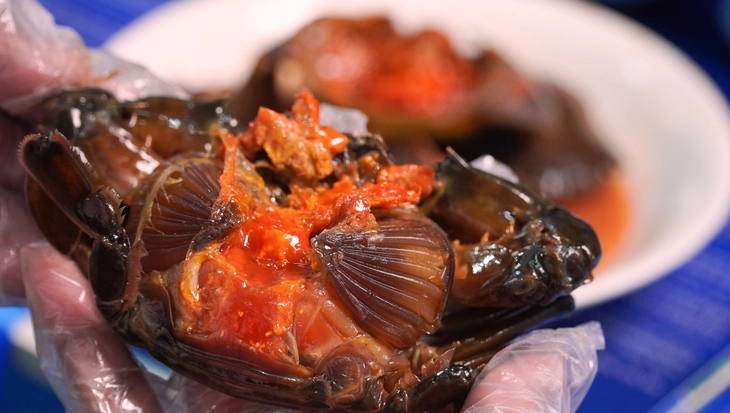 Cua gạch C&agrave; Mau ng&acirc;m nước mắm nhĩ gi&aacute; gần 1 triệu đồng/kg - Ảnh 2.