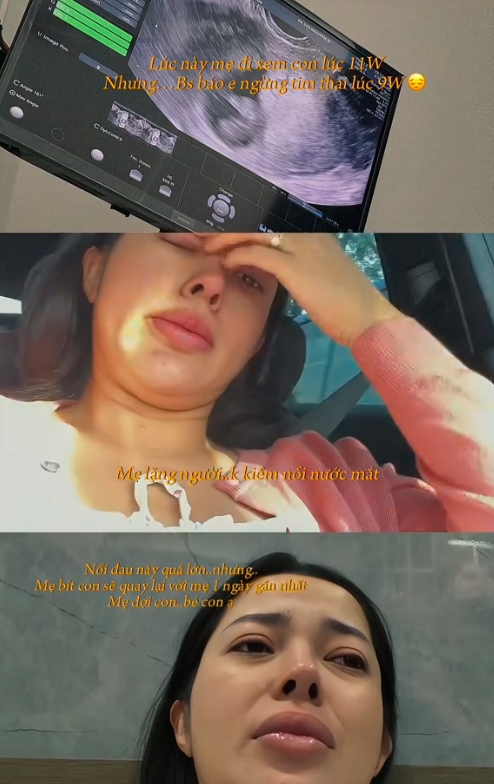 Linh Barbie nghẹn ngào thông báo mất con, 2 tuần sau khi em bé ra đi mới biết - Ảnh 2. Linh Barbie nghẹn ngào thông báo mất con, 2 tuần sau khi em bé ra đi mới biết - Ảnh 2.