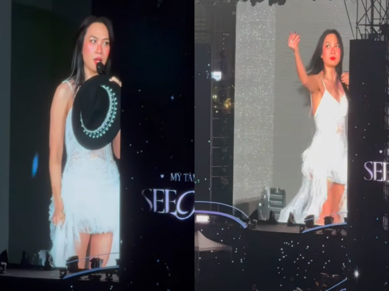 Mỹ Tâm lên tiếng vụ chiếc áo bị xé thành 8 mảnh- Ảnh 1.