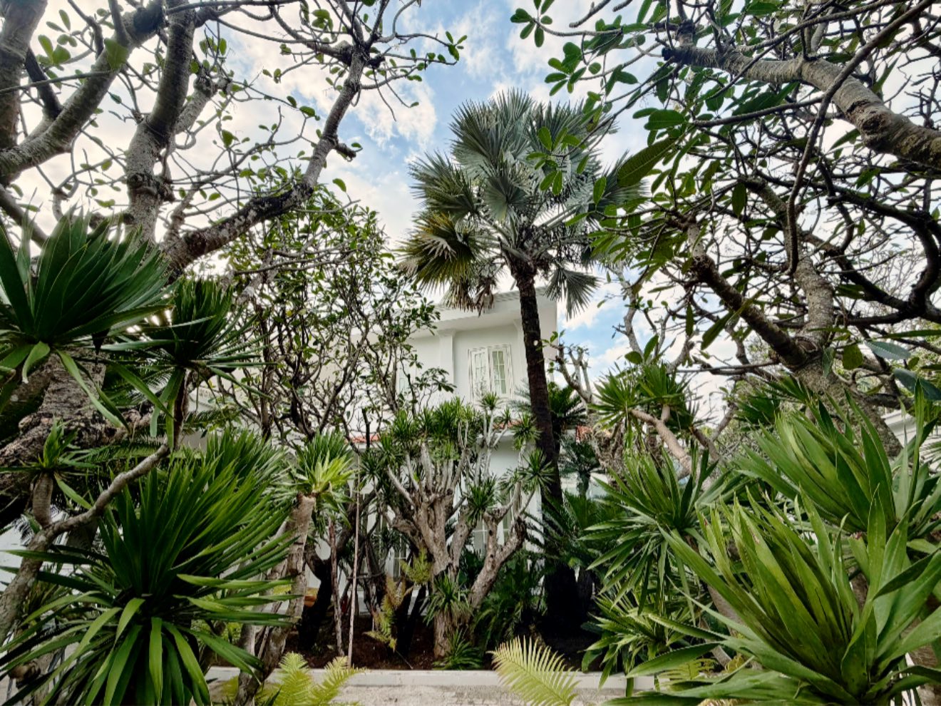 Biệt thự rộng 2000m2 của nh&acirc;n vật đ&igrave;nh đ&aacute;m trong showbiz Việt, nghệ sĩ n&agrave;o cũng nể - Ảnh 7.