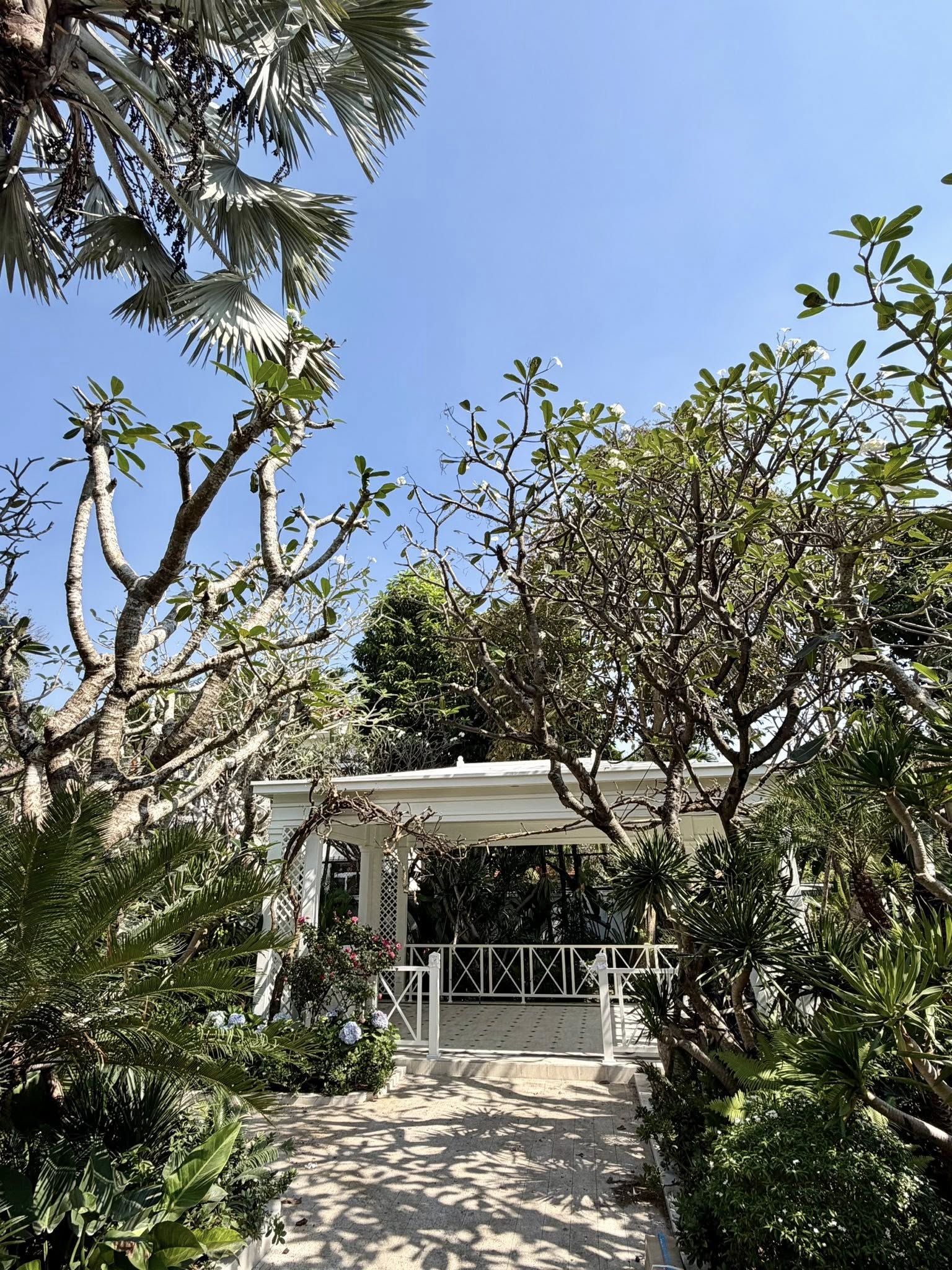 Biệt thự rộng 2000m2 của nh&acirc;n vật đ&igrave;nh đ&aacute;m trong showbiz Việt, nghệ sĩ n&agrave;o cũng nể - Ảnh 4.