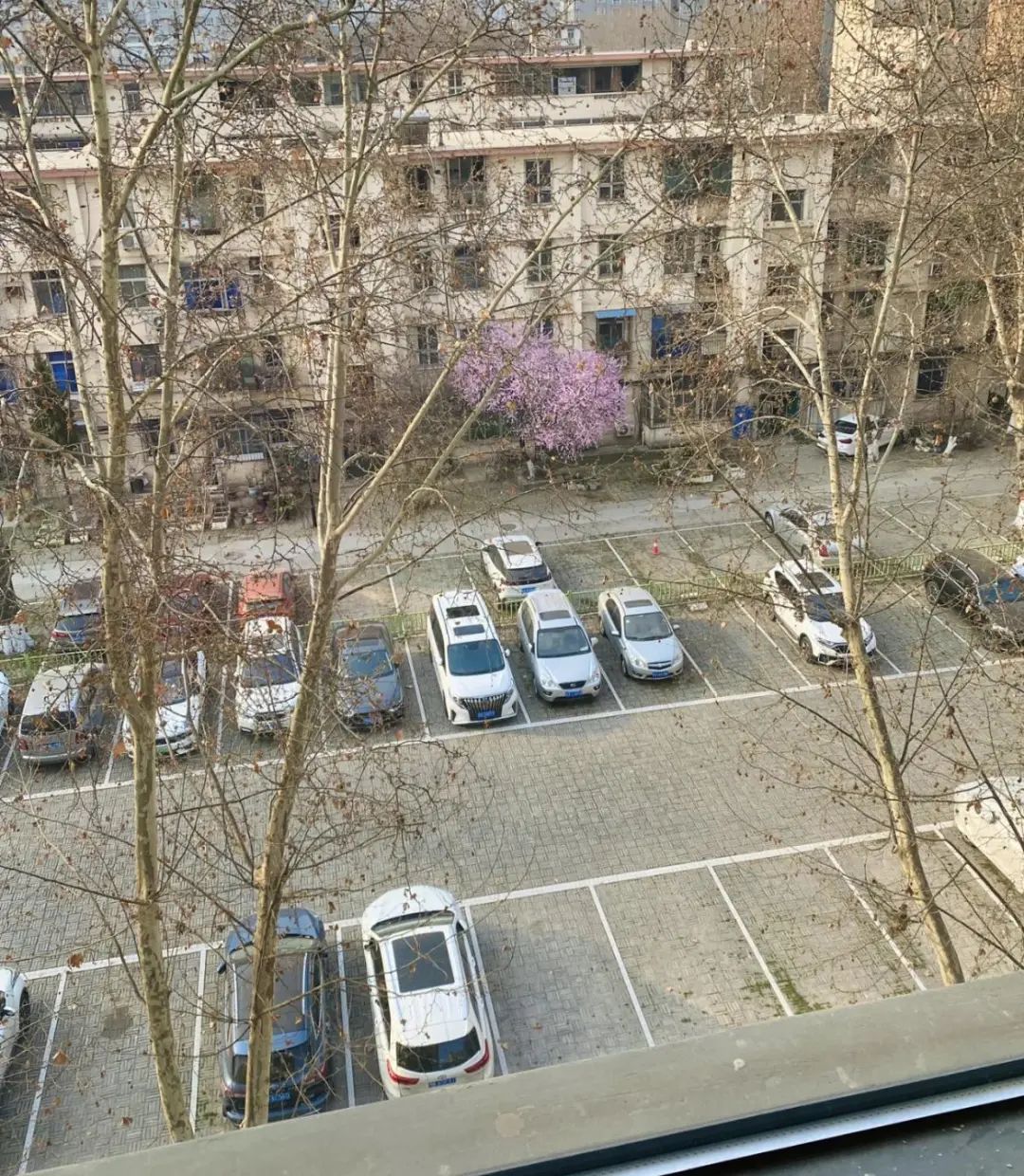 Chuyển từ căn hộ 90m&sup2; sang 180m&sup2;, sống 8 năm rồi quay về - t&ocirc;i nhận ra nh&agrave; rộng kh&ocirc;ng khiến cuộc sống tốt hơn- Ảnh 3.