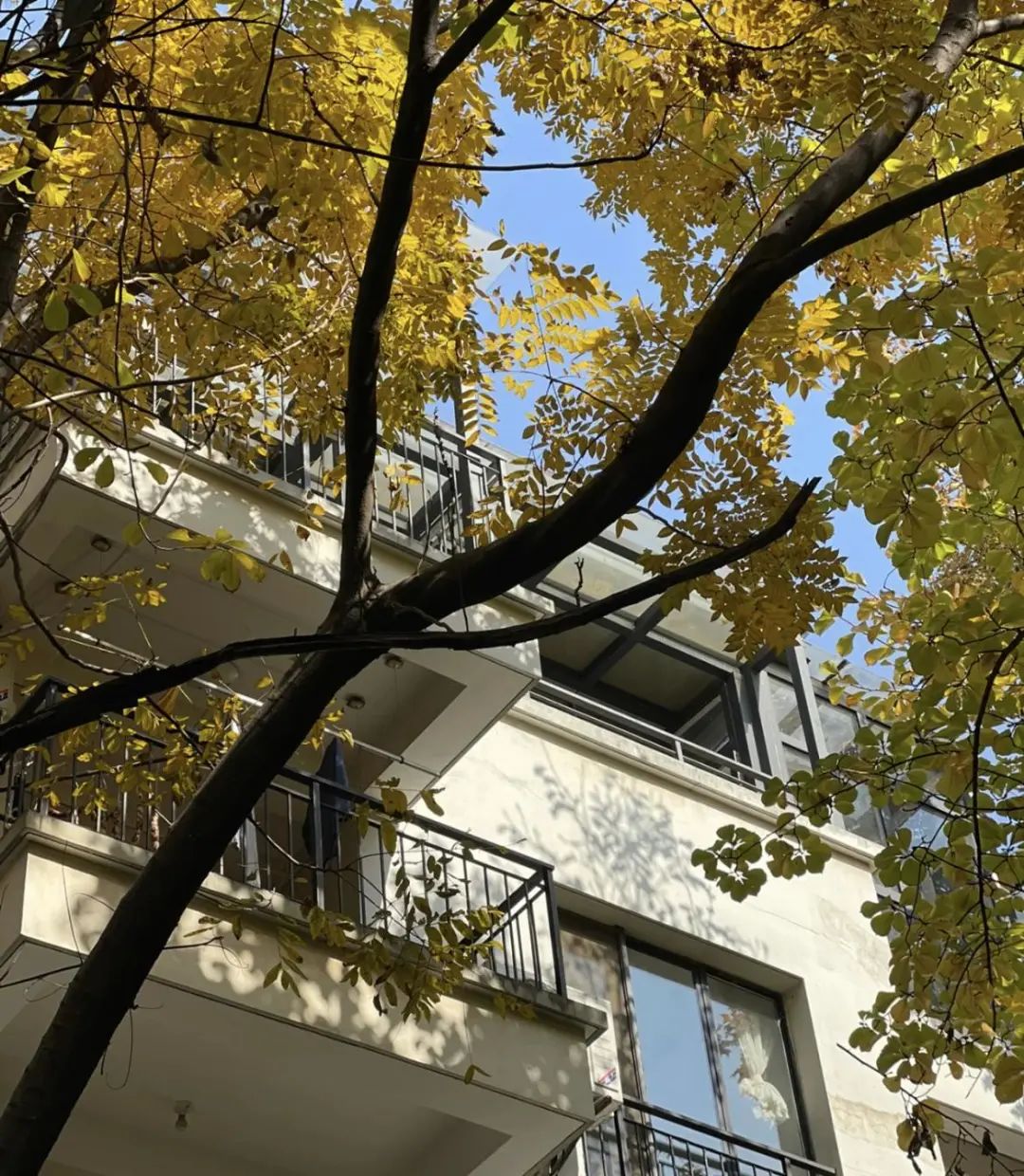 Chuyển từ căn hộ 90m&sup2; sang 180m&sup2;, sống 8 năm rồi quay về - t&ocirc;i nhận ra nh&agrave; rộng kh&ocirc;ng khiến cuộc sống tốt hơn- Ảnh 6.