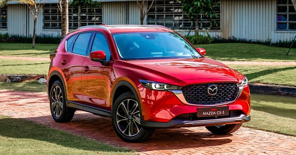 Gi&aacute; v&agrave;ng h&ocirc;m nay tăng sốc, kỷ lục mới ch&iacute;nh thức x&aacute;c lập - Ảnh 4.