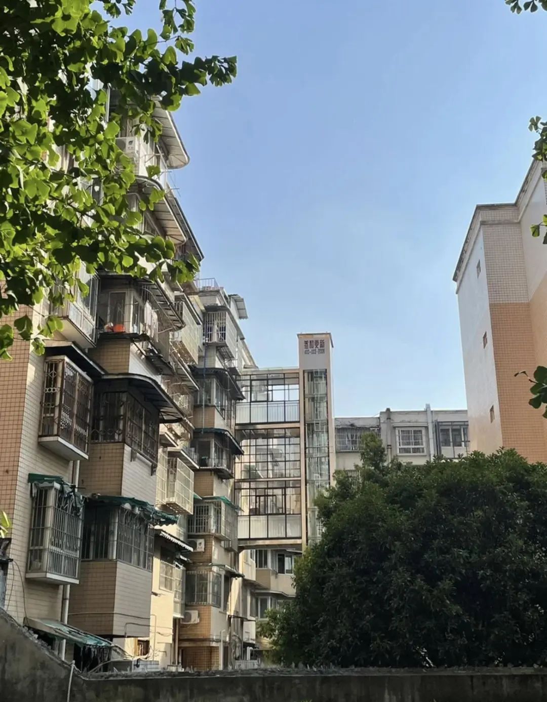 Chuyển từ căn hộ 90m&sup2; sang 180m&sup2;, sống 8 năm rồi quay về - t&ocirc;i nhận ra nh&agrave; rộng kh&ocirc;ng khiến cuộc sống tốt hơn- Ảnh 4.