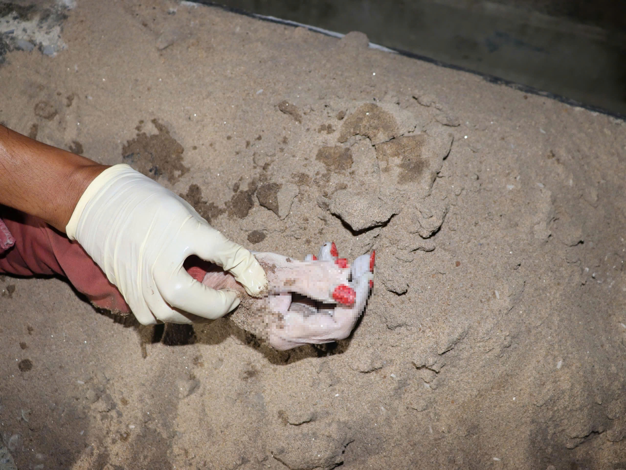 Ph&aacute;t hiện thi thể nữ c&oacute; 6 ng&oacute;n tay, sơn m&agrave;u đỏ tr&ecirc;n s&ocirc;ng S&agrave;i G&ograve;n - Ảnh 1.