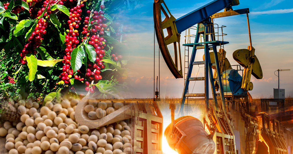 Shark Ph&uacute; lưu &yacute;: Nếu gi&aacute; v&agrave;ng cao k&eacute;o gi&aacute; nh&agrave; đất tăng, buộc mặt bằng thu nhập phải tăng từ 10 triệu l&ecirc;n 20&ndash;30 triệu đồng, c&aacute;c loại h&agrave;ng h&oacute;a kh&aacute;c cũng tăng - Ảnh 2.