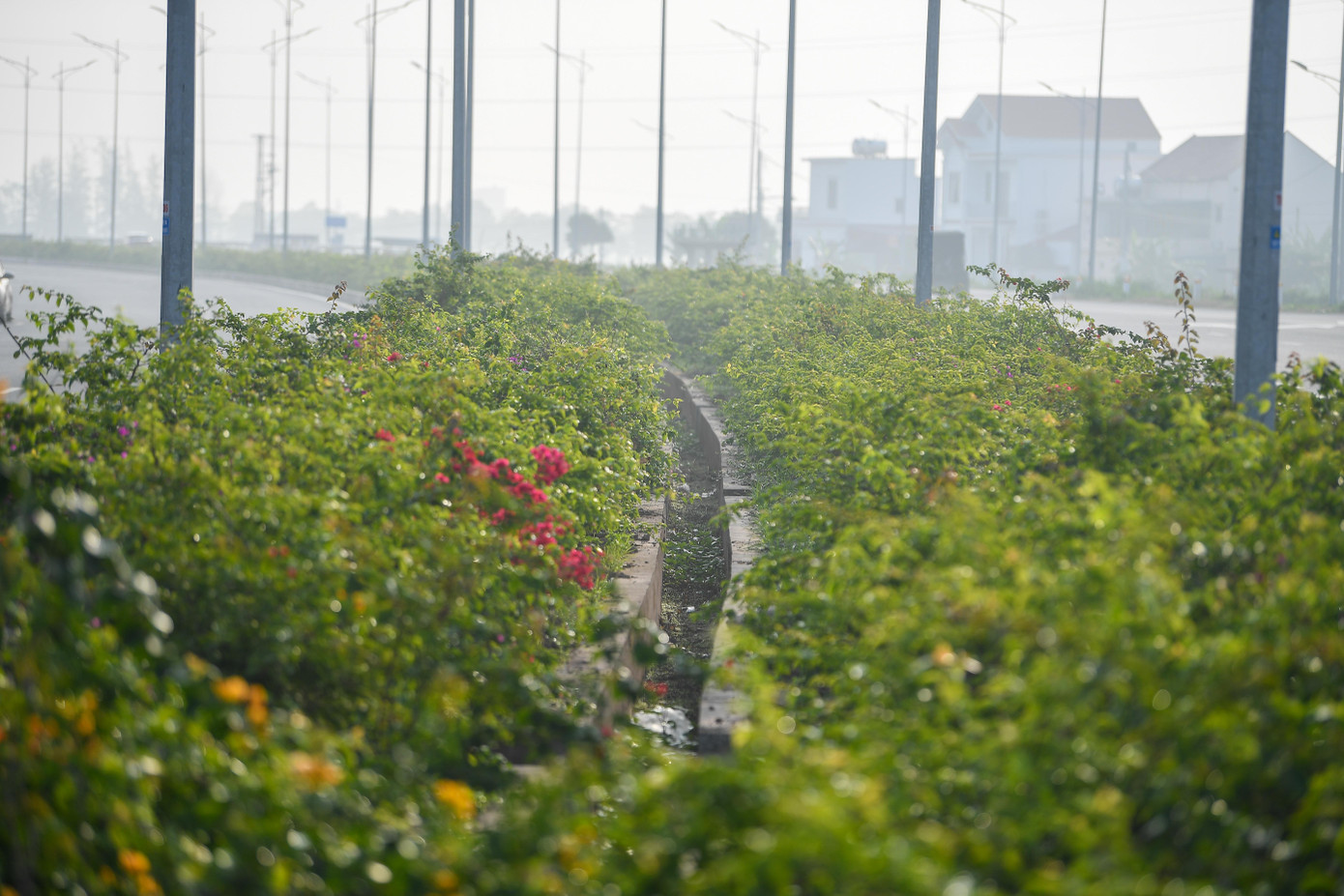Dự &aacute;n giao th&ocirc;ng Ninh B&igrave;nh 6 . 000 Tỷ kết nối v&ugrave;ng ven biển v&agrave; ph&aacute;t triển kinh tế - Ảnh 4.