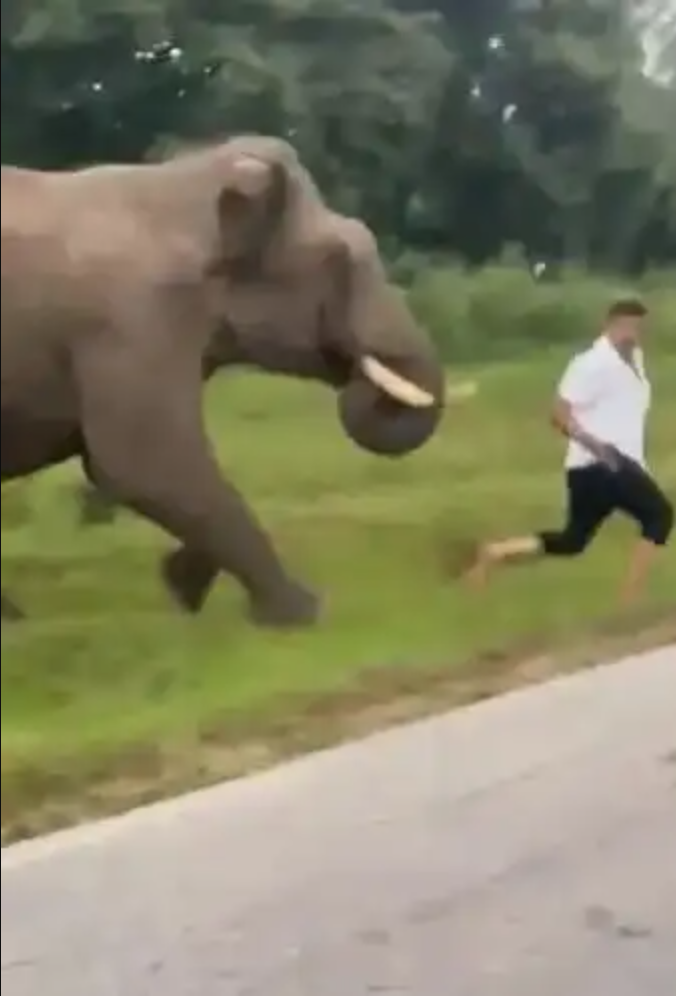 Cảnh báo gấp cho ai hay chụp ảnh tự sướng- Ảnh 5. Cảnh báo gấp cho ai hay chụp ảnh tự sướng- Ảnh 5.