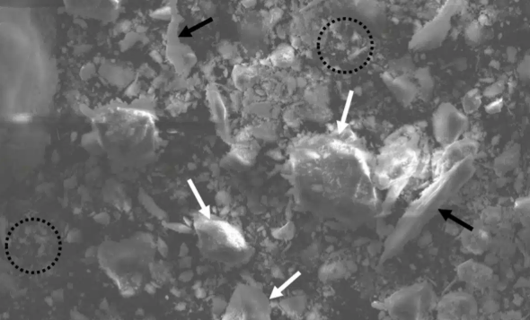 Ph&aacute;t hiện 38 mỏ kho&aacute;ng sản mới với khoảng 19 tấn v&agrave;ng trong 3 th&aacute;ng đầu năm 2025 - Ảnh 2.